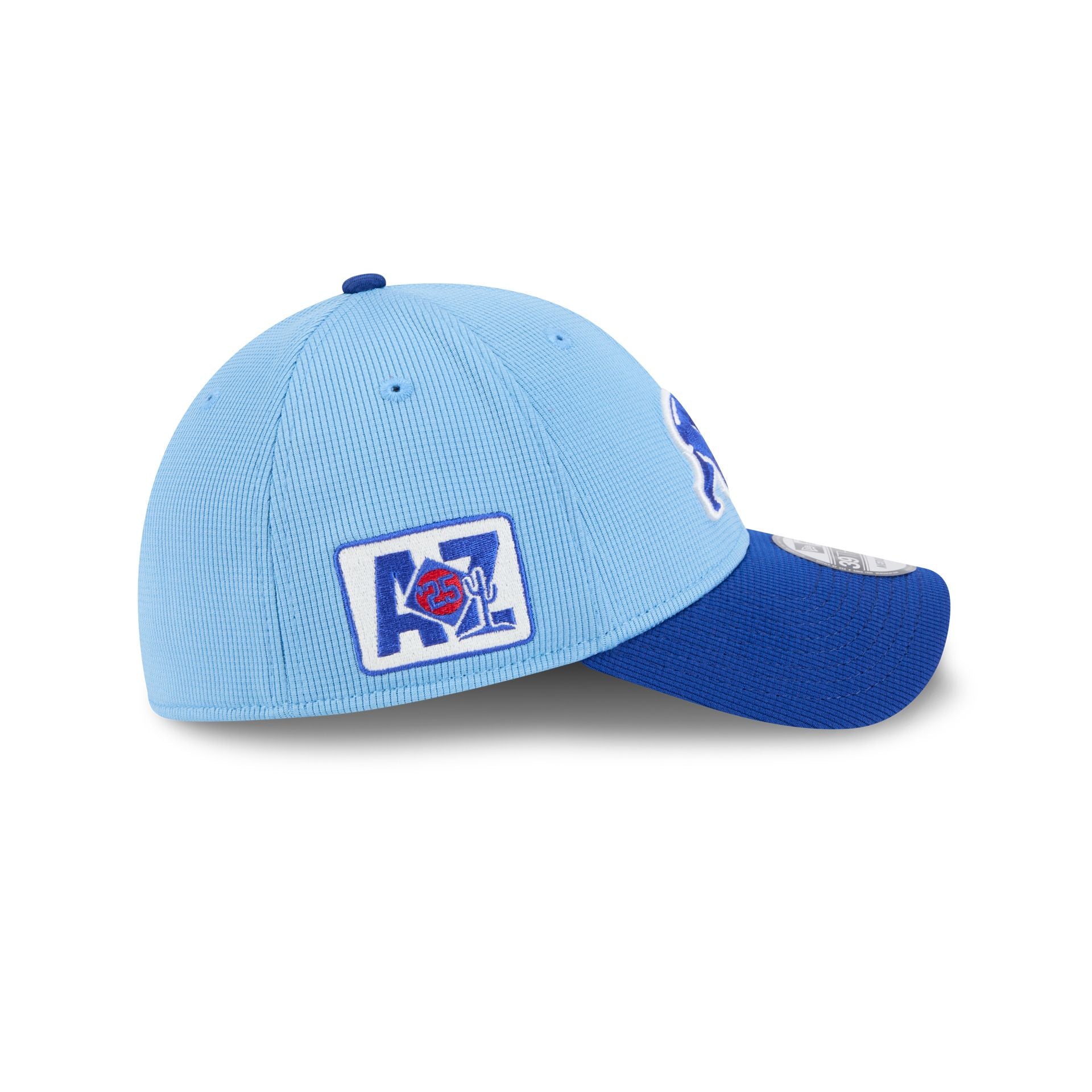 Chicago Cubs 2025 Spring Training 39THIRTY Stretch Fit Hat - Image 4
